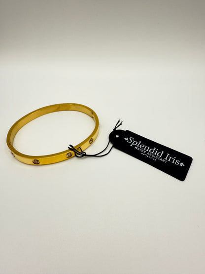 Splendid Iris Water Resistant Sparkle Hinged Bracelet